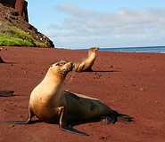 Galapagos picture, Ecuador travel, Galapagos For Less
