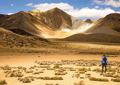 A visitor in a field staring at mountain landscapes in the distance at Lauca National Park.