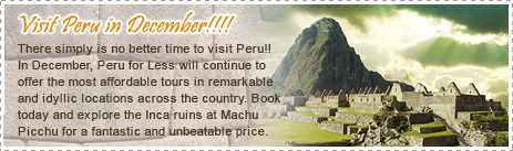 Monthly Offer
