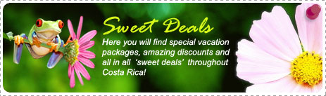 Monthly Offer - Sweet Deals