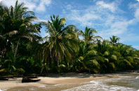 Colonial City, Caribbean Coast - Costa Rica