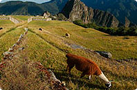 Inca Mystery Deluxe Tour