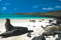 Galapagos Islands