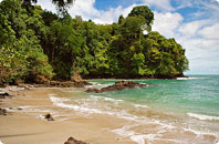 Costa Rica Treasures