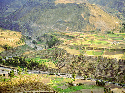 Colca canyon, Inca Trail alternative, Arequipa, Peru Trekking, Peru Hiking, Andes