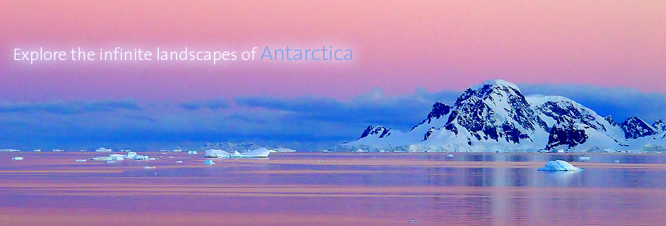 argentina to antarctica cruise price