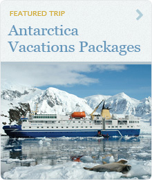 Antarctica Vacations Packages
