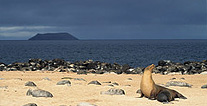 Galapagos picture, Ecuador travel, Peru For Less
