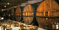 Mendoza Wine Country, Mendoza Vacation, Argentina Vacation, Argentina For Less