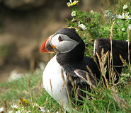 Antarctica picture, Argentina travel, Argentina For Less