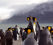 Antarctica picture, Argentina travel, Argentina For Less