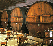 Mendoza Tour Picture, Argentina Travel, Argentina For Less