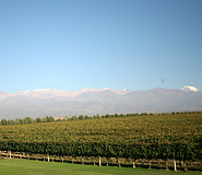 Mendoza Tour Picture, Mendoza Travel, Argentina Travel, Argentina For Less