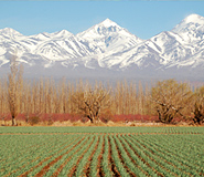 Mendoza picture, Argentina travel, Argentina For Less