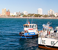Puerto Madryn Tour, Argentina Travel, Argentina For Less