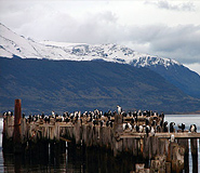 Puerto Natales Tour Picture, Chile Travel, Argentina For Less