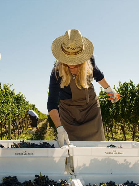 Woman in a winery in Mendoza