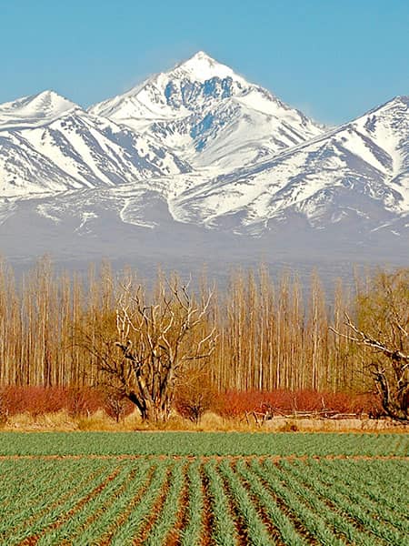 Mendoza view in Argentina