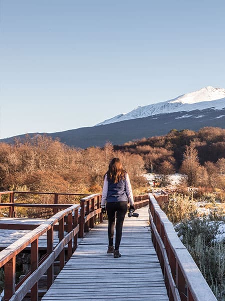 Woman walking in a wooden path in Ushuaia