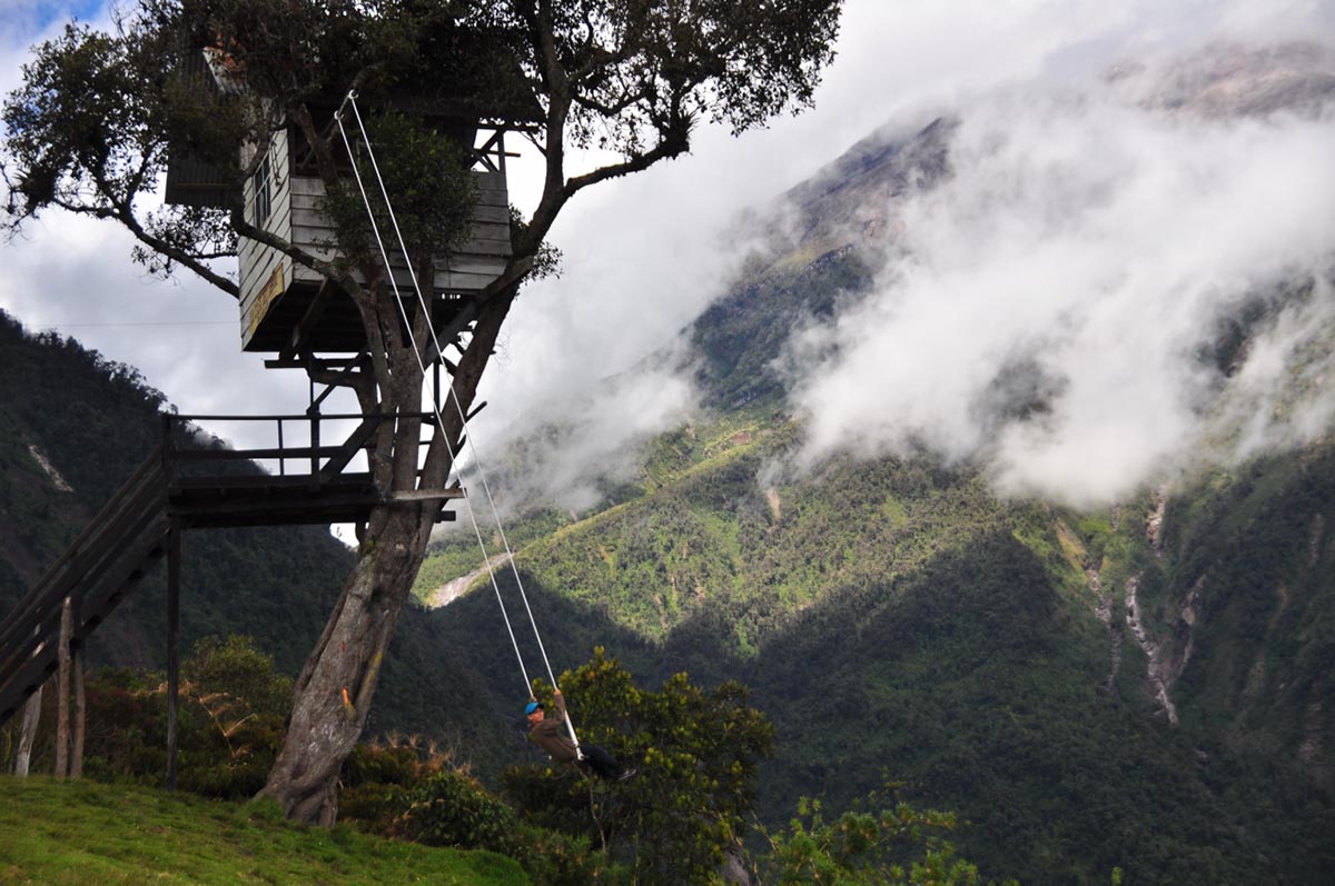 A tree with a treehouse and swing attached surrounded by foggy, green mountain landscapes.