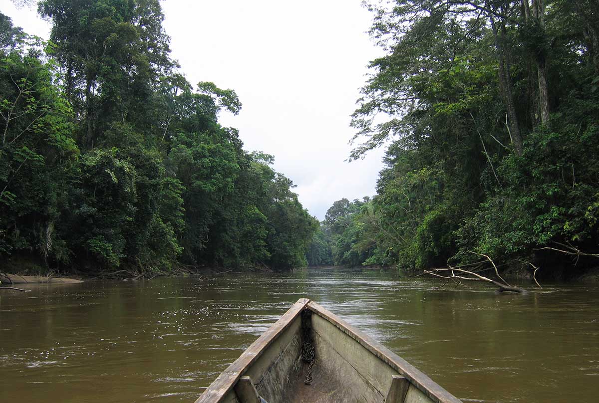 A wooden boat cruises through a river surrounded by green trees in the Amazon Rainforest.