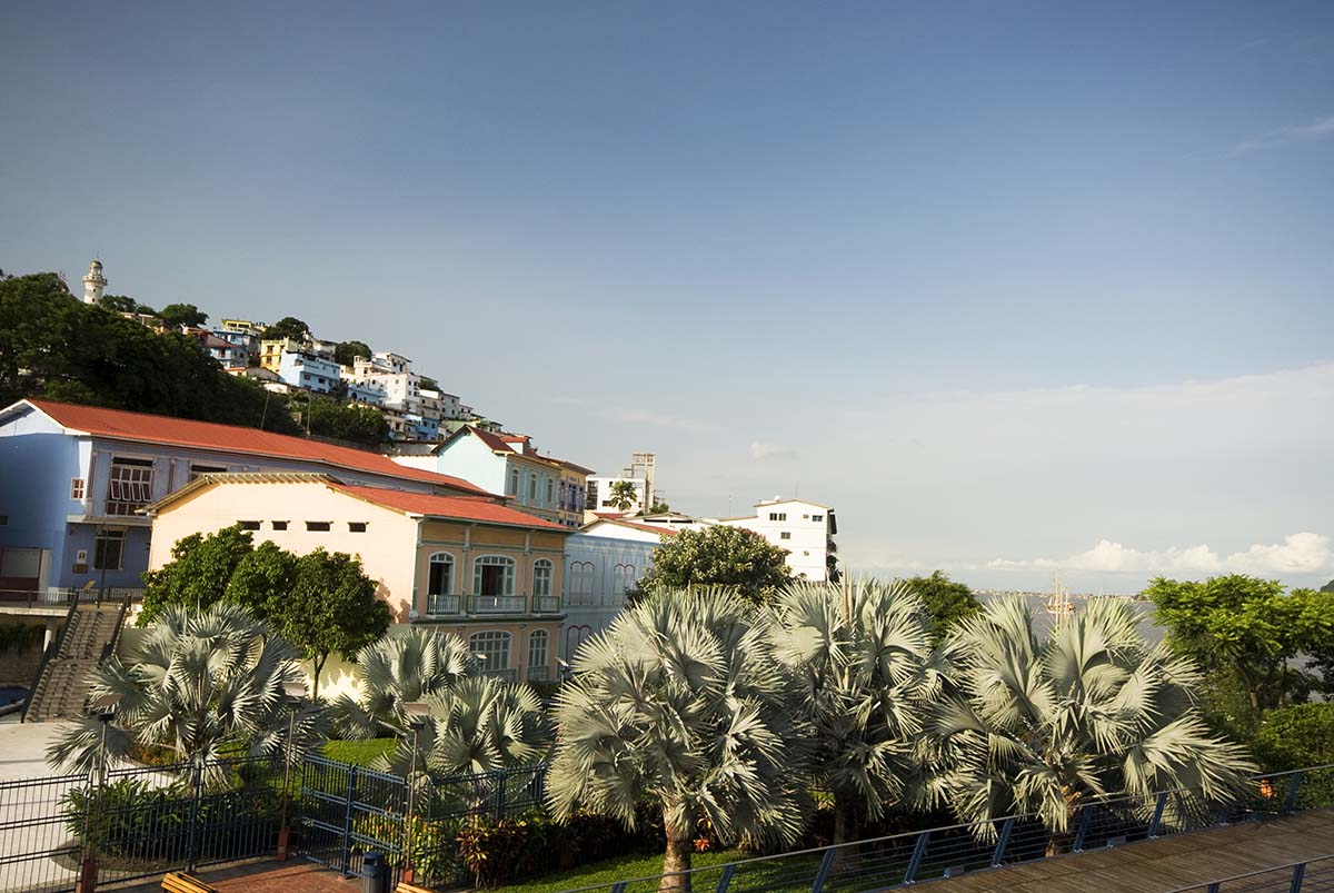 Colorful houses with thick trees in front and more houses and a body of water behind in Guayaquil.