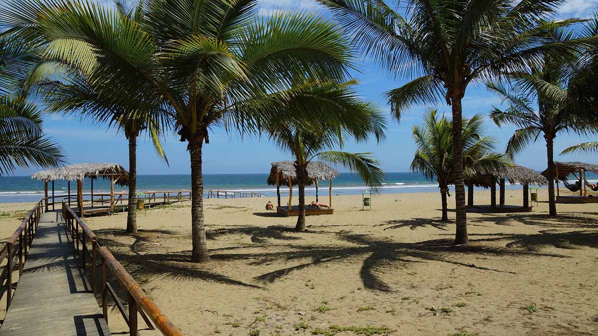A sandy beach with palm trees and blue ocean waters in Puerto Lopez in Manabi Province.