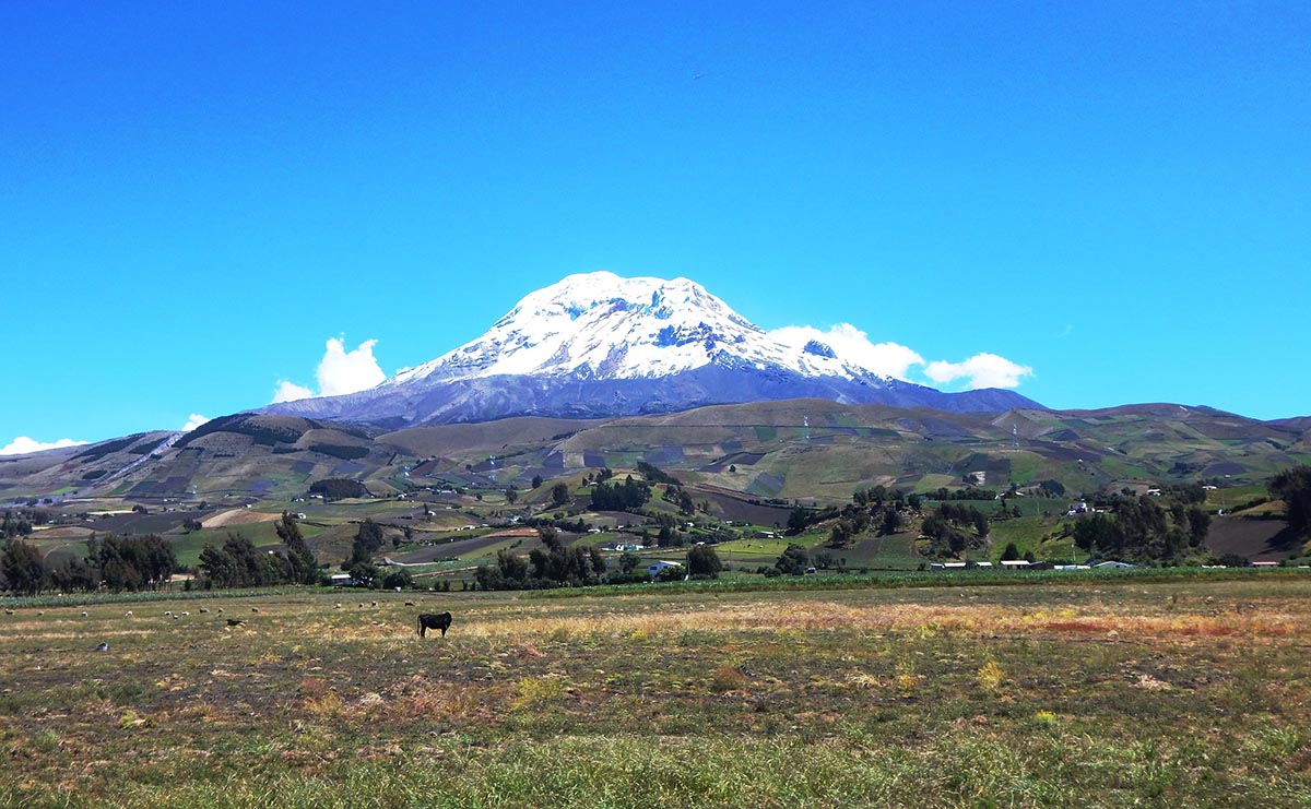A snow-capped volcano under bright blue skies with uneven plots of farmland in front.
