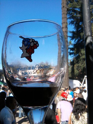 Chile travel, Chile wine tour