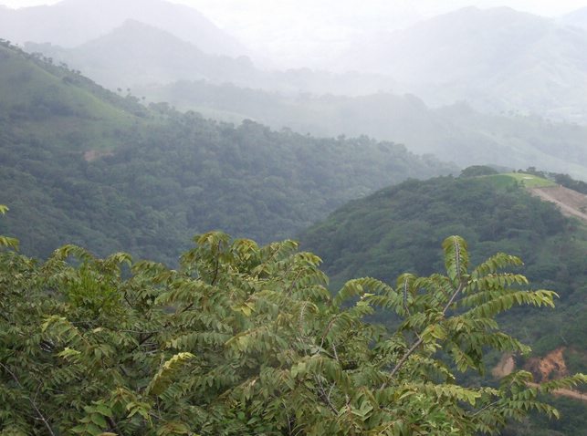 Monteverde Cloud Forest Reserve, Costa Rica, Peru for Less