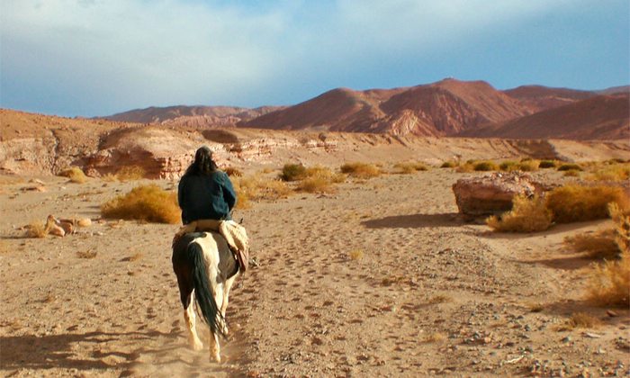 Atacama desert - Chile