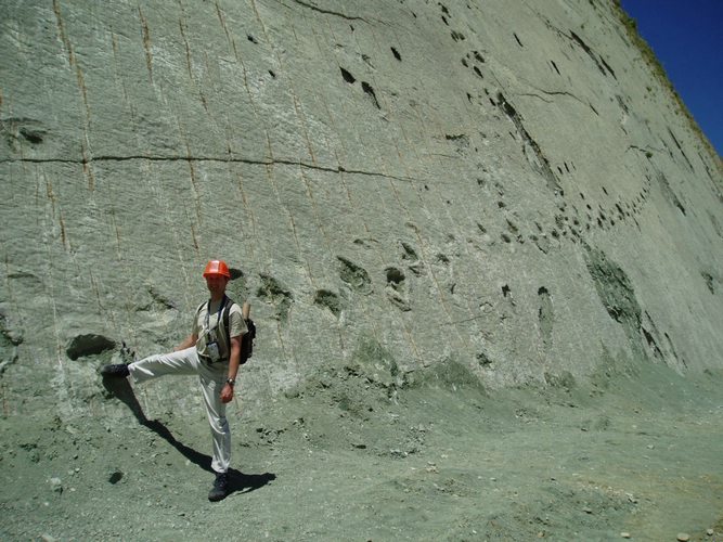 Take a step back in time with these dinosaur tracks that scale a vertical wall. Photo from yatlik.com