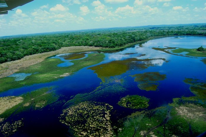 Pantanal Wetlands, Brazil, Brazil For Less