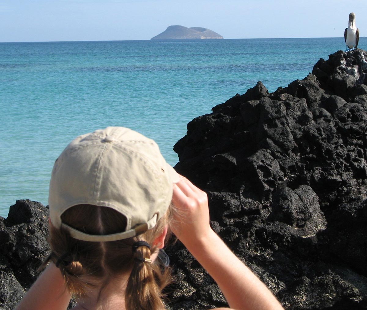 A person holding binoculars looks at a bird perched on a rock formation.