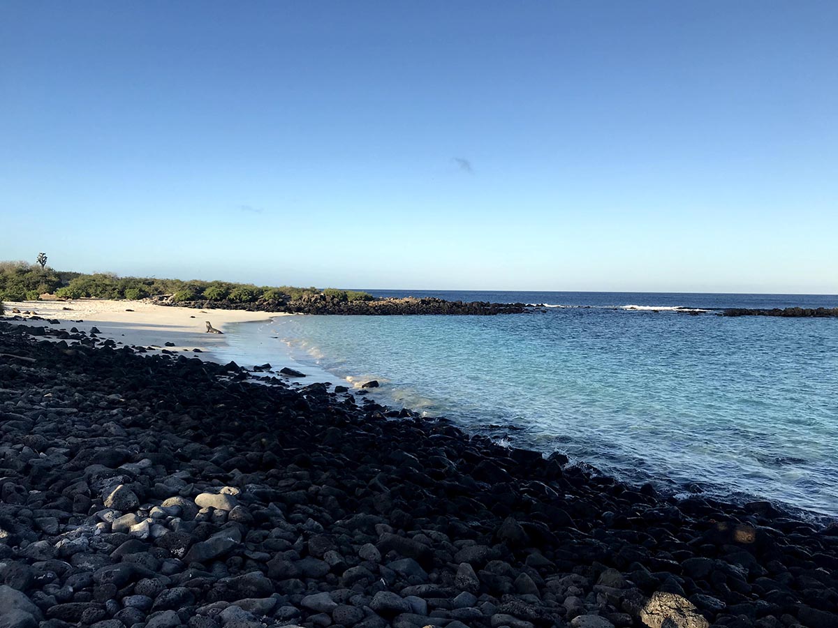 Black rocky shores leading to a white sand beach along the Pacific Ocean.