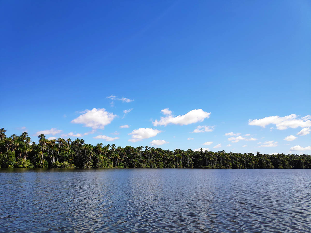 An Amazonian lake in Puerto Maldonado, the main city of the southern Peruvian Amazon.