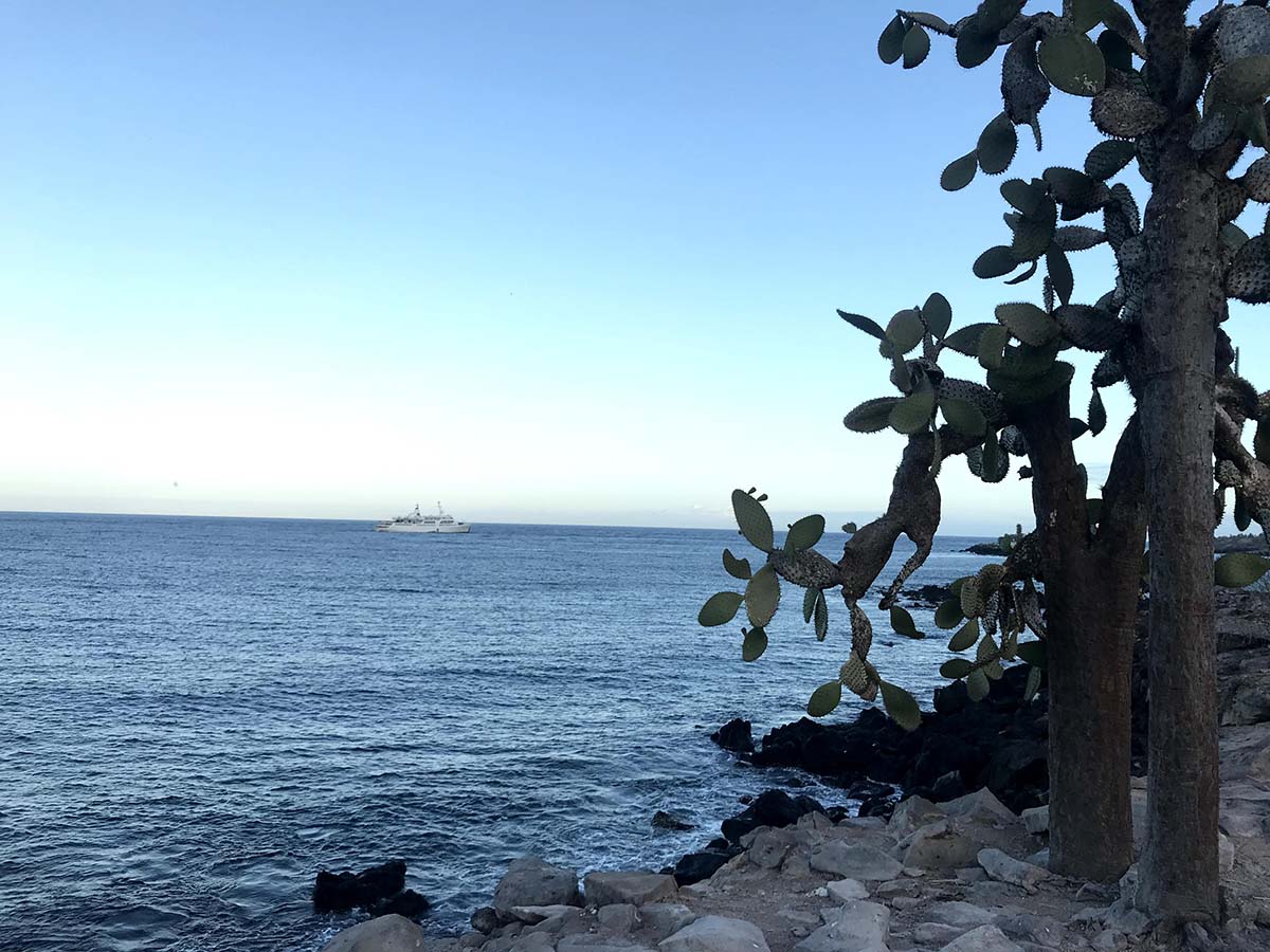 Blue ocean with white cruise ship in the distance. Rocks and cacti along the shore.
