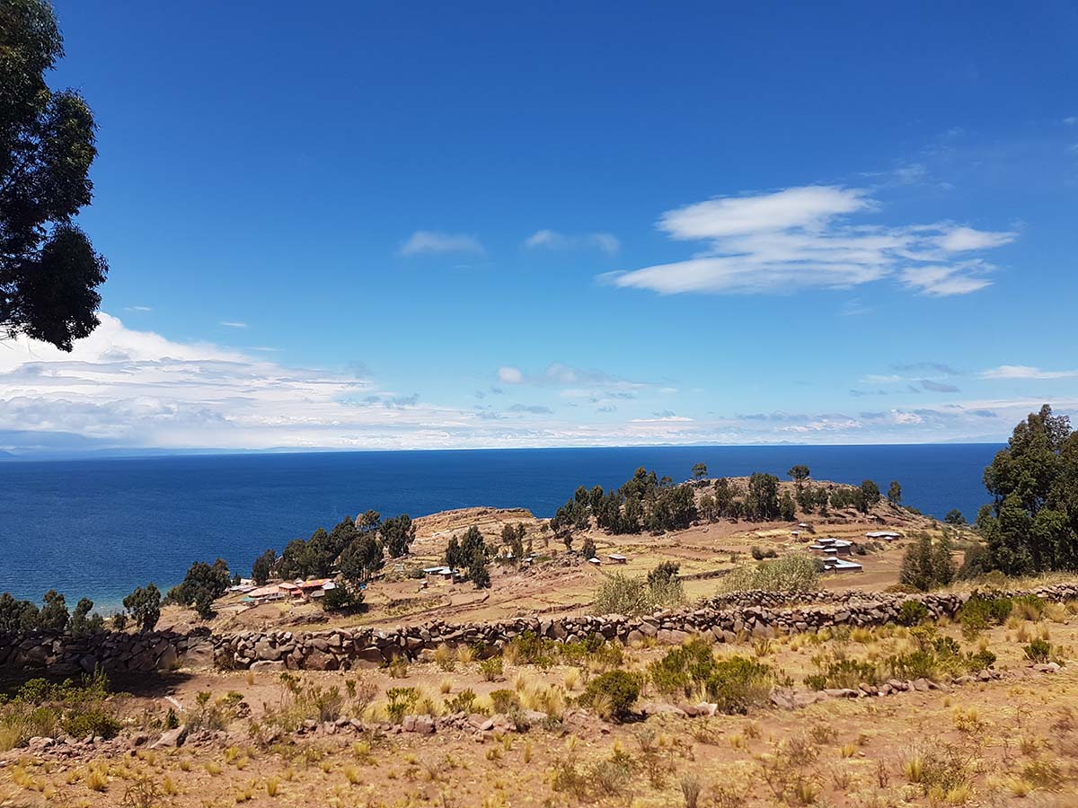 Tan and green flora atop Taquile Island with Lake Titicaca behind. 