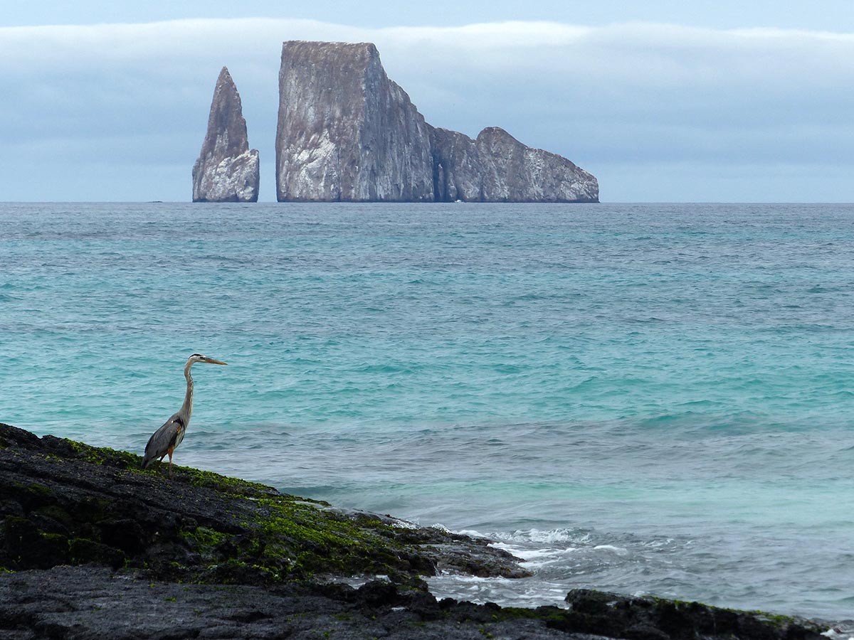 Kicker Rock, also called Sleeping Lion, a popular geologic and wildlife viewpoint off San Cristobal.