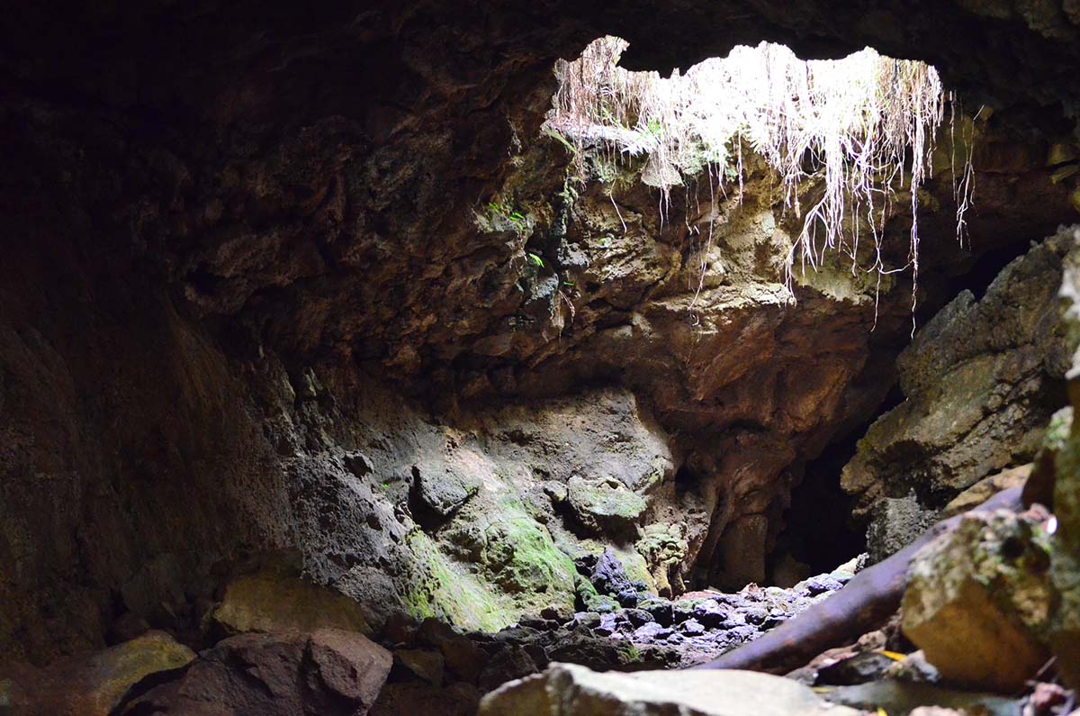 A circle hole in the roof of a lava tunnel in the Galapagos Islands reveals rocks and moss below.