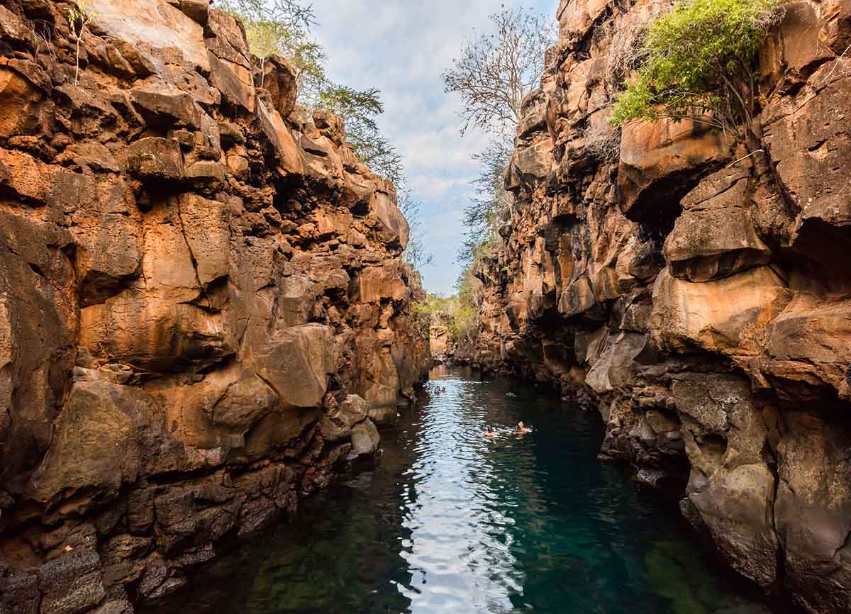 Swimmers in a clear thin river between two rock cliff walls. 