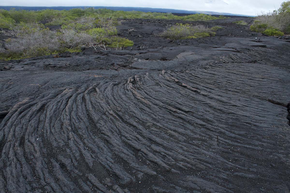 The black rippled surface of dried lava cover many of the islands in the Galapagos