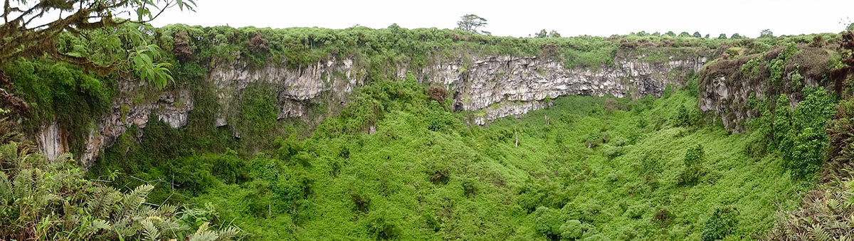 Los Gemelos in the Galapagos are giant sinkholes with rough lava wall edges now overgrown by trees. 