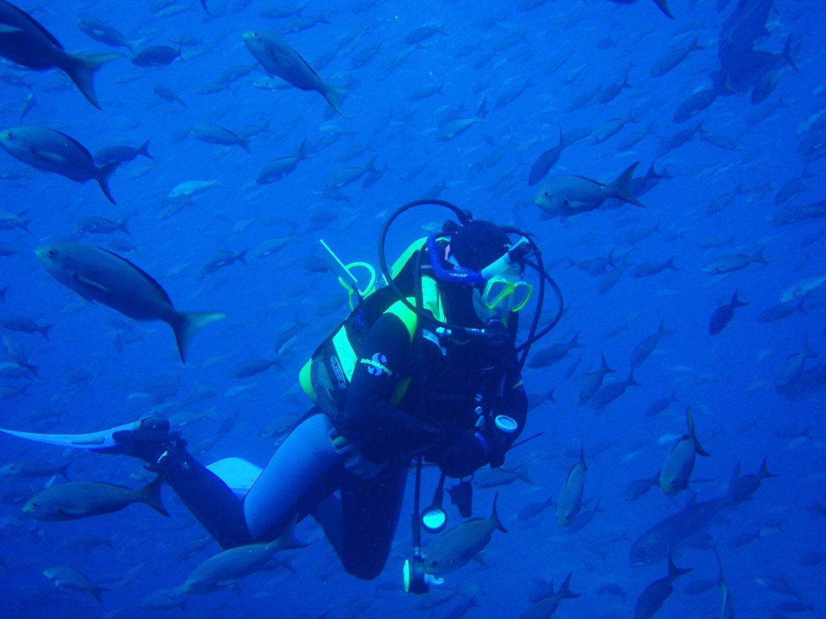 Scuba diver submerged in blue waters of the Galapagos Islands surrounded by a school of fish.