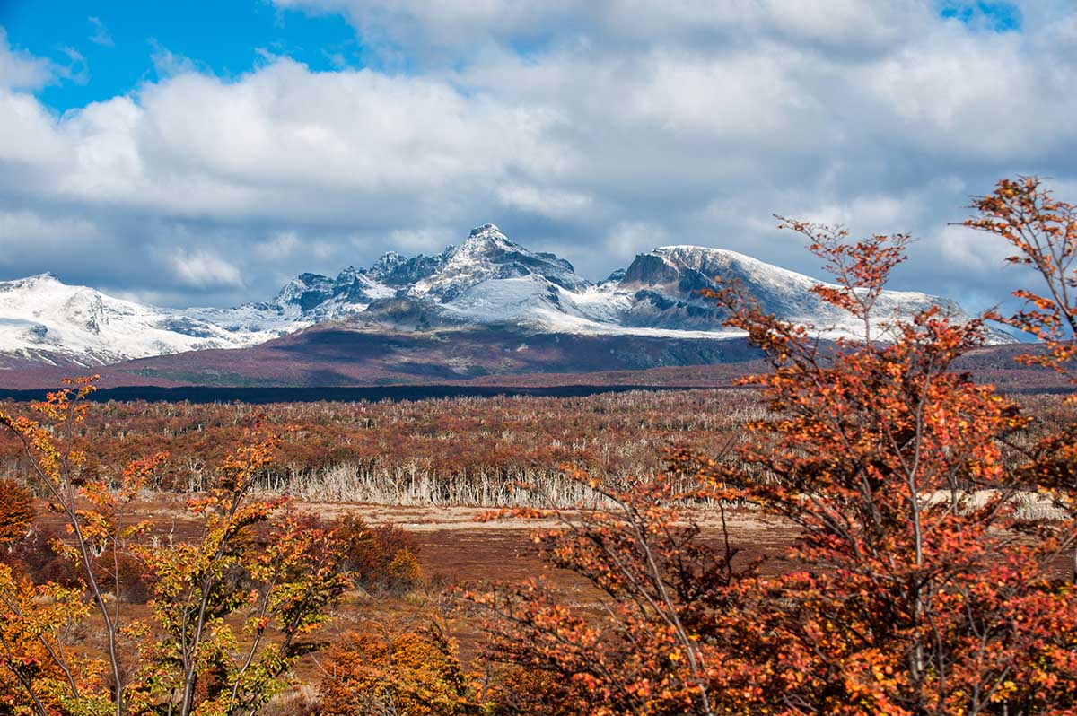 Fall foliage in Tierra del Fuego National Park with snow-capped mountains.