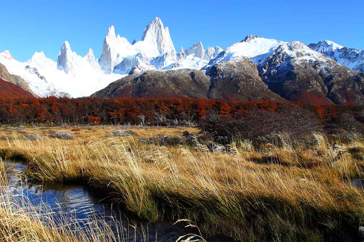 Snow-covered jagged peaks stand behind a grassy plain with red-leaved trees.