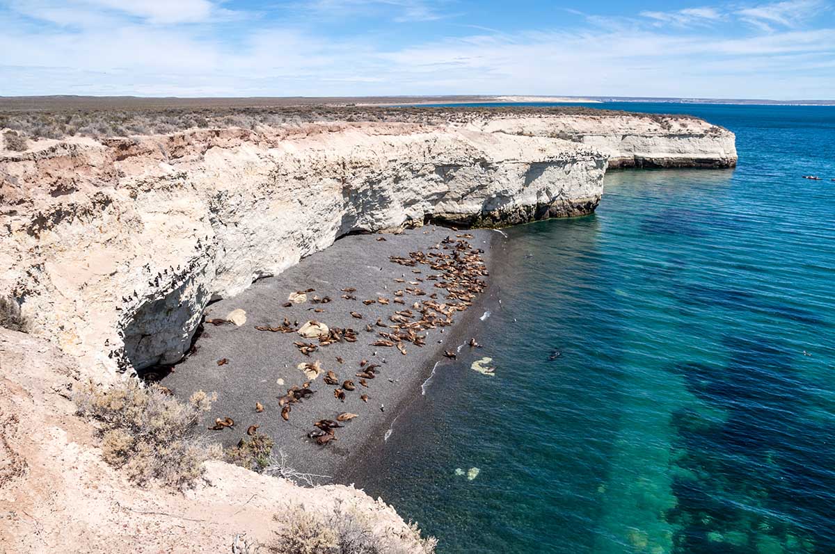 A sea lion colony occupies a sandy inlet next to a crystal clear sea and surrounded by rock walls.