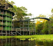 Ariau Amazon Towers Picture, Manaus Hotels, Brazil Travel, Brazil For Less