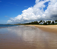 Praia do Forte Picture, Praia do Forte Travel, Brazil Travel, Brazil For Less