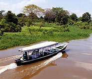 Manaus Tour, Brazil Travel, Brazil For Less
